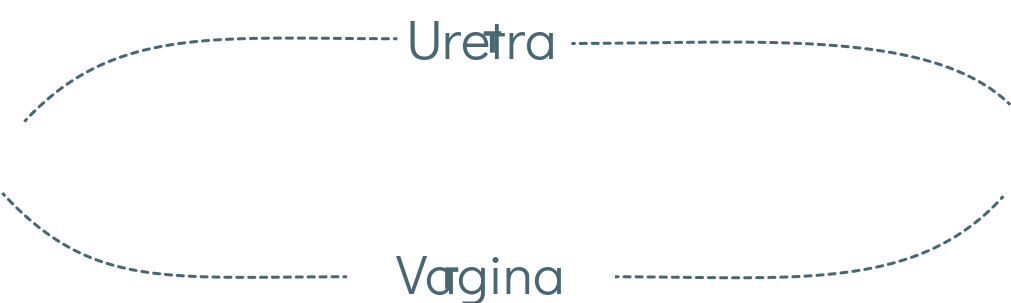 labels